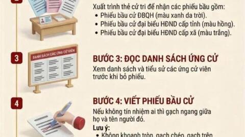 HƯỚNG DẪN QUY TRÌNH BỎ PHIẾU BẦU CỬ